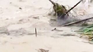 Flood affected