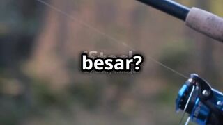 Tips Mancing Ikan Patin yang Efektif!