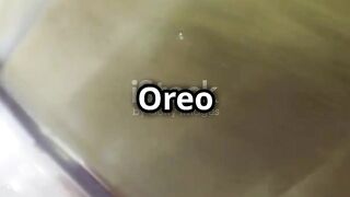 Cara Membuat Oreo Cheesecake Bars Kekinian