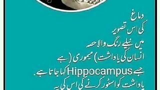 شرعی مسائل اور ان کا حل 309
