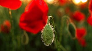 Moments of Nature's Beauty.#reels#moments#Nature’s#nature#Beauty#party#nice#butiful#views#View#funny