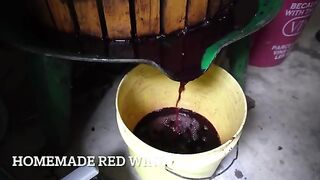 Italian Grandpa Teaches Me How To Make Authentic Homemade Wine