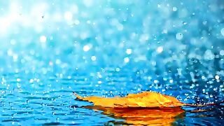 The Impact of Rain Frequencies and Quran Recitation on Mental and Physical Health