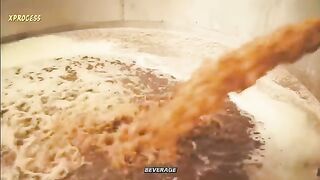How TEQUILA is Made From Agave Plant  DON JULIO Tequila Production