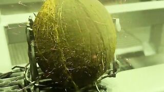 Coconut????#sandblasting #tiktok #food #coconut