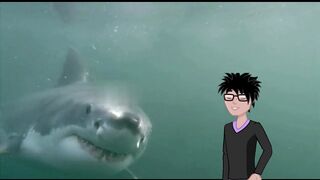 Mengenal Jenis-jenis Ikan Hiu di lautan
