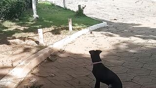 Passeio ????