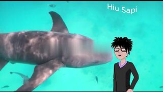 Hiu Sapi