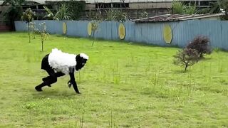 laughing #human confusing behavior #never imagined #What is this operat#funnyvideos #funnyy 25