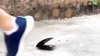 Kucing aja bisa jujur keeren