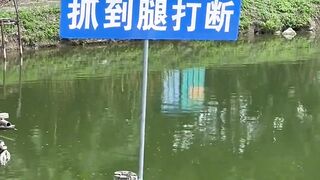 laughing #human confusing behavior #never imagined #What is this operat#funnyvideos #funnyy 28