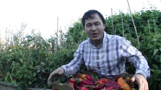 ОРГАНИЧЕН ПЕСТИЦИДЕН КОНТРОЛ 2 ЧАСТ
