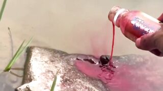 laughing #human confusing behavior #never imagined #What is this operat#funnyvideos #funnyy 60
