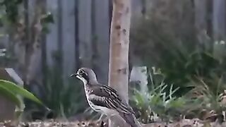 Wait till End 7