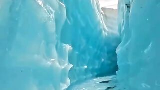 video 769