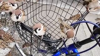 Wait till End 9