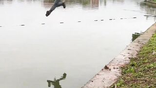 laughing #human confusing behavior #never imagined #What is this operat#funnyvideos #funnyy 134
