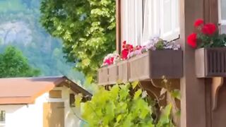 No:33 beautiful seen of the world