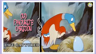 Funny Cartoon Movie / Best old Cartoon Movie