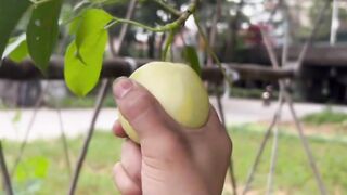 laughing #human confusing behavior #never imagined #What is this operat#funnyvideos #funnyy 156