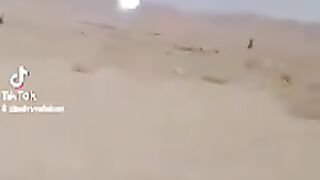 Palmyra 20