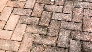 laughing #human confusing behavior #never imagined #What is this operat#funnyvideos #funnyy 187
