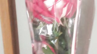 Flores????⚘