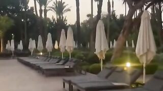 فندف رائع