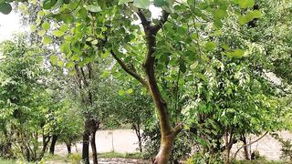 See the beauty of my village