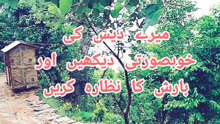See and see the beauty of my country