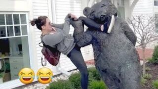 Best Funny Videos Compilation