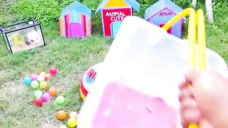 Cute hen chiks/baby hen chiks/beautiful lovely chiks