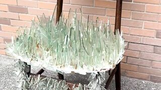 laughing #human confusing behavior #never imagined #What is this operat#funnyvideos #funnyy 227