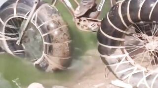 Asian Funny Videos - The Super Bycicle