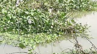 Mancing 6