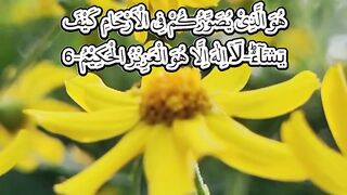Ayat of the day-3