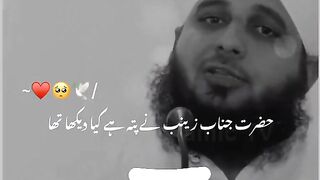 علی المرتضیٰ کی با ہمت بیٹی حضرت سیدنا زینب✨????