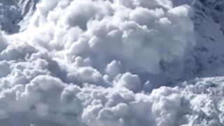 video 772