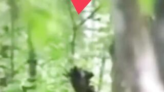 Real Ghost evil capture can YOU see this creepy video #shorts