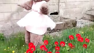 Мишка аниматор 2
