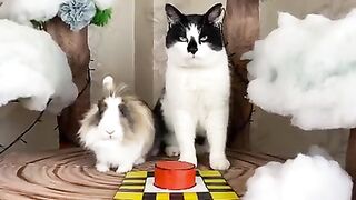Смотри  до конца