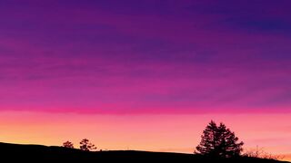 Benson Boone - Beautiful Things (Lyrics) Music Lyrics