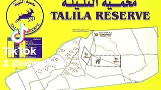 محمية التليلة