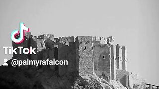 Palmyra 23