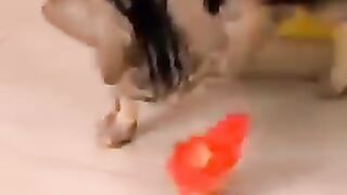 چوچا بدمعاش