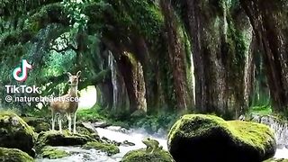 C 'est la nature qui a fait le travail
