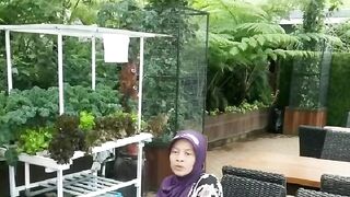 Arti Mimpi Mendapatkan Ikan menurut Muslim
