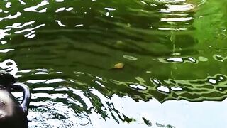 Fish pond