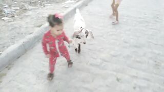 MINHA FILHA CUIDANDO DOS BIXINHOS QUE FOFO ????