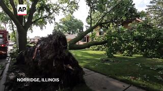 Illinois resident heard 'big thump' before tree fell on house during storm.